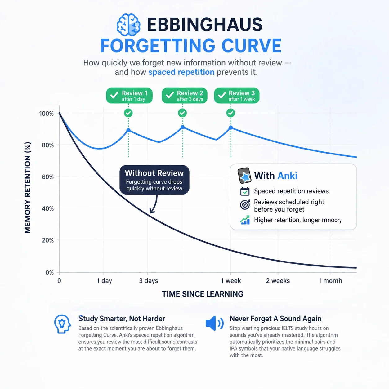 Ebbinghaus Forgetting Curve graph